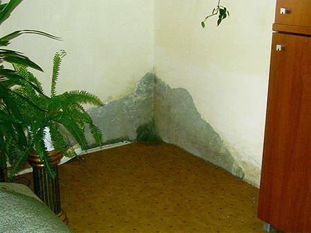 Rozległe zawilgocenie i zagrzybienie ściany wewnętrznej przy powierzchni podłogi na gruncie (źródło: Ochrona cieplna strefy cokołowej budynków niepodpiwniczonych, dr inż. Paweł Krause, mgr inż. Łukasz Kosobucki).